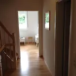 Borkumperle